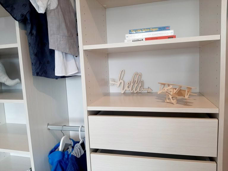 Cambridge Seashell Colour Close Up