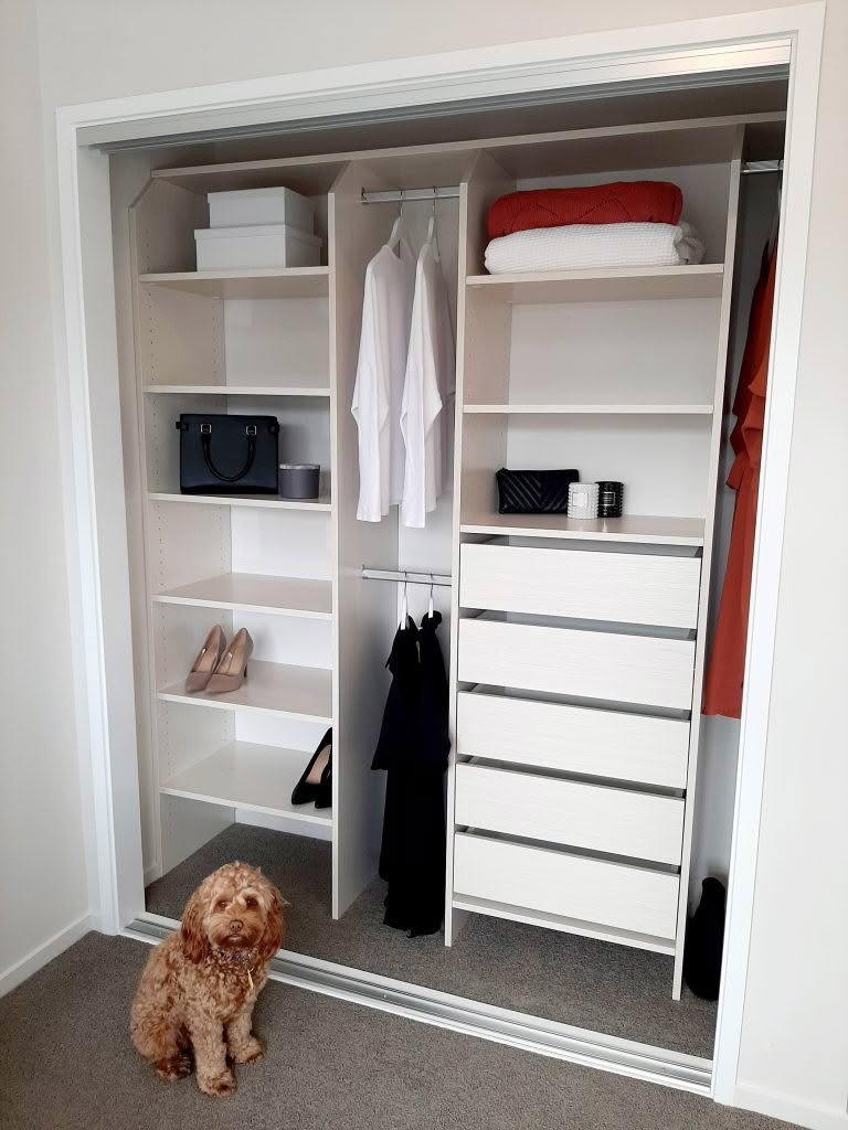 Cambridge Seashell with Dog